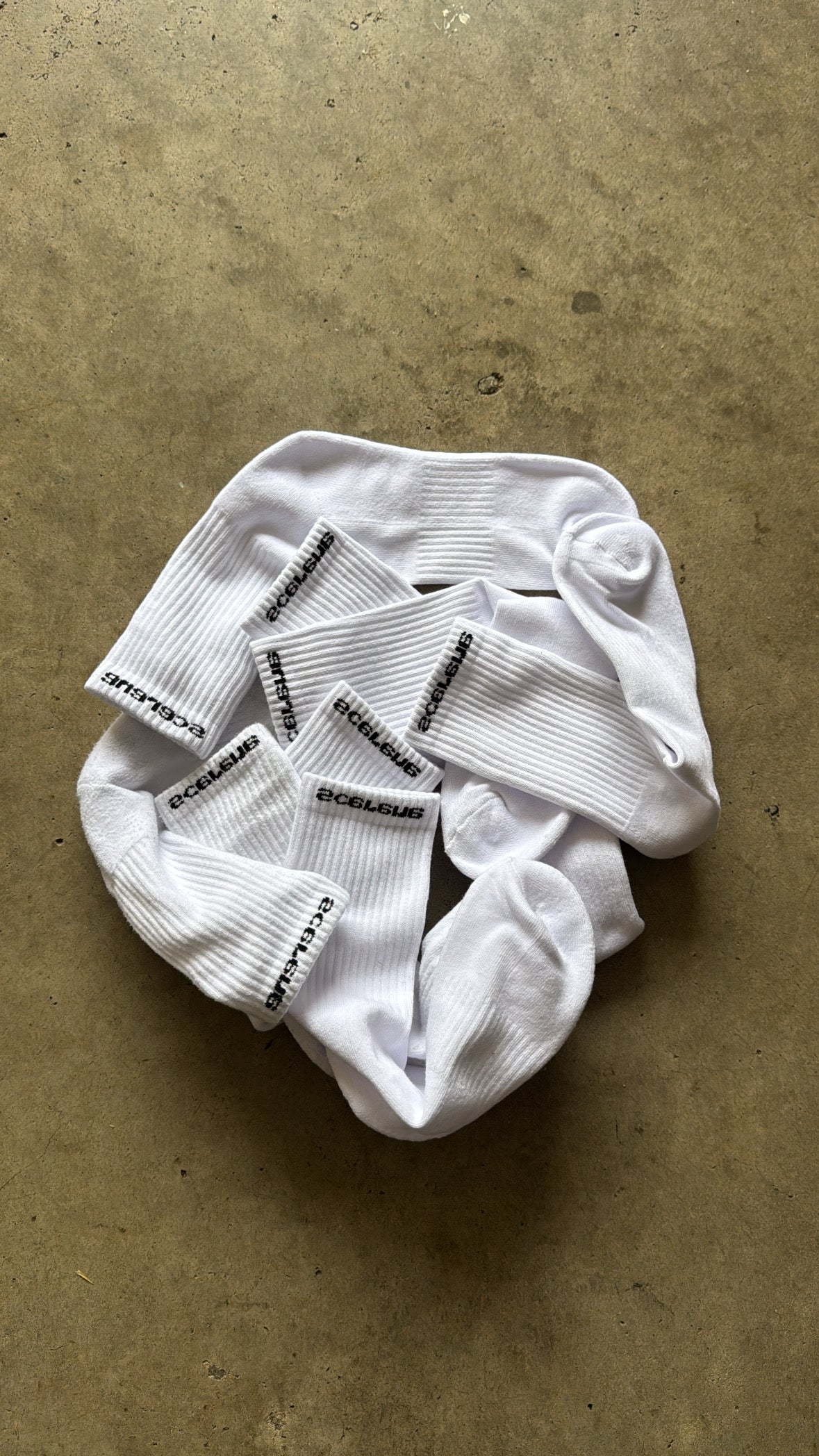 Signiature Socks